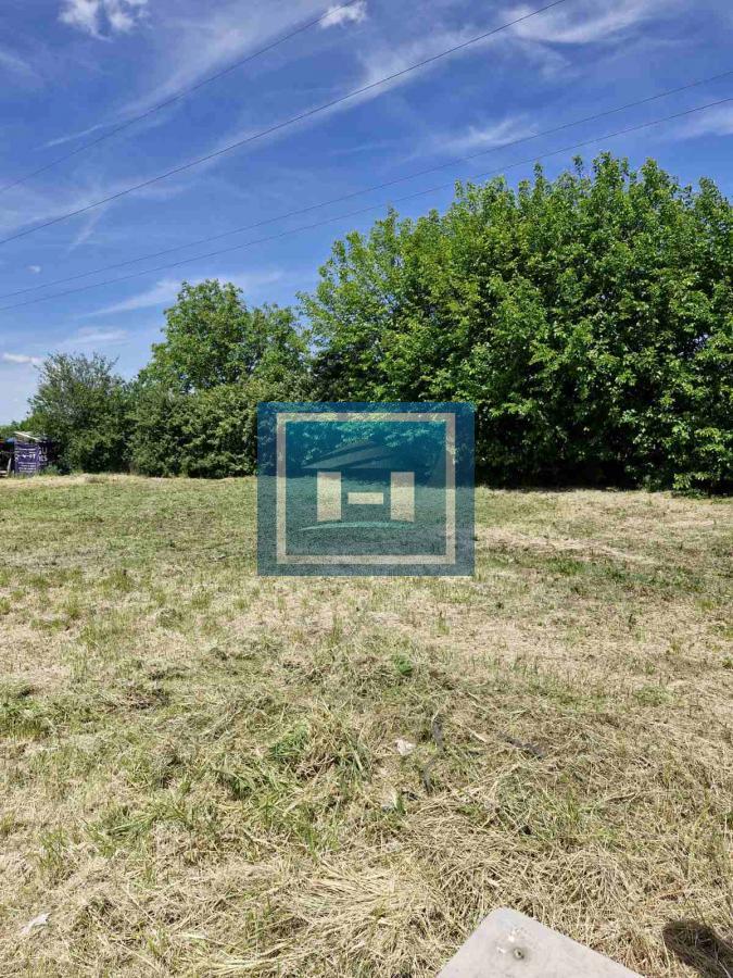 Plac na Sarinoj medji -Kupusara 6