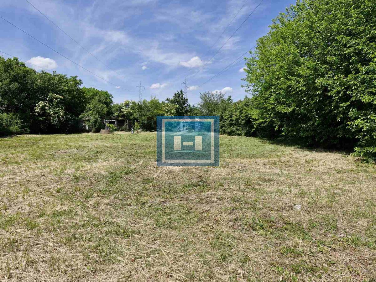 Plac na Sarinoj medji -Kupusara 8