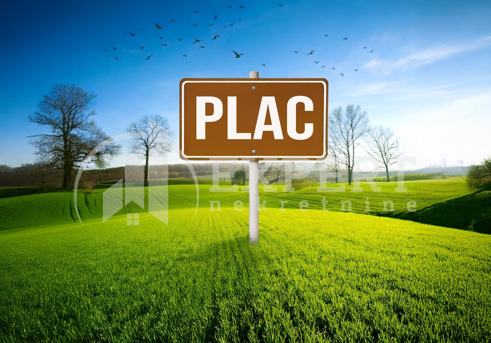 Plac, Sečanica, Sečanička ID: p-013654 1