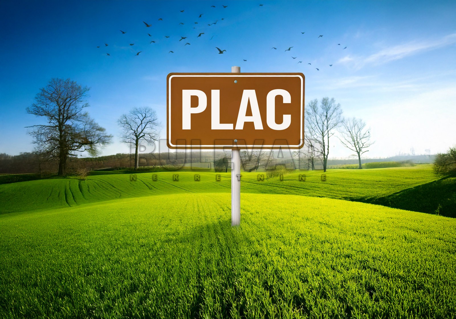 Plac, Kamenica, Kamenica ID: p-013682 1