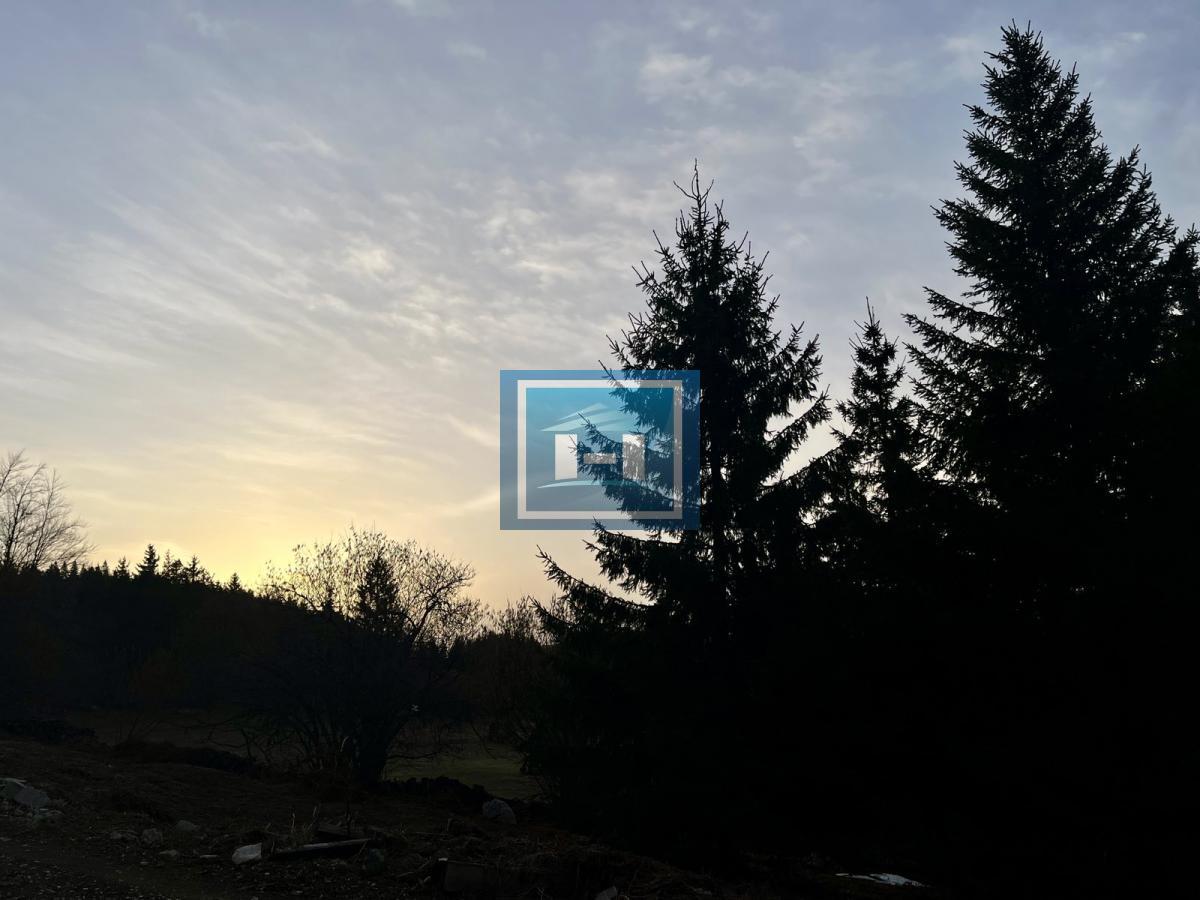 Nova vikendica na Tari 9