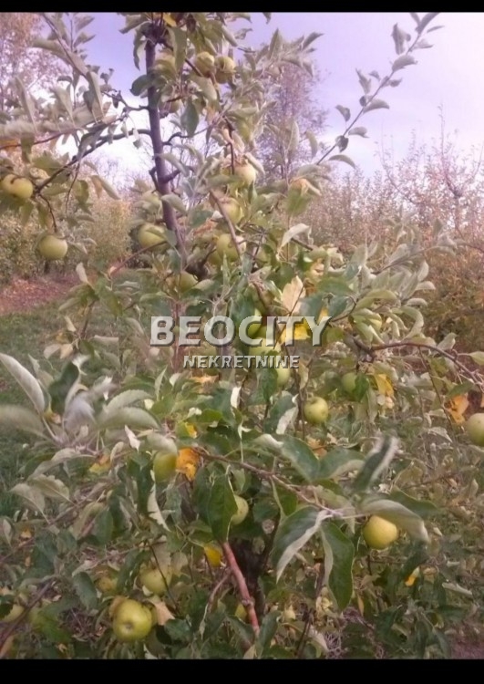 Petosobna kuća, 130 m2, Palilula, 210 nova ID: 117542 16