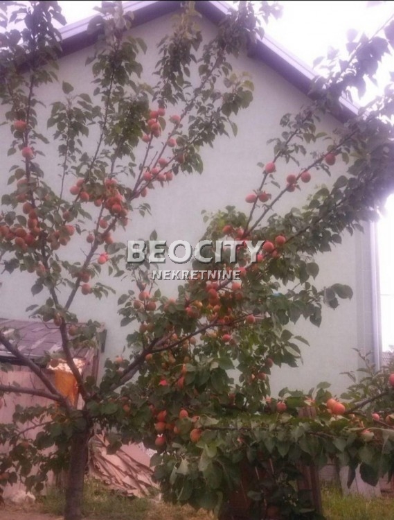 Petosobna kuća, 130 m2, Palilula, 210 nova ID: 117542 18