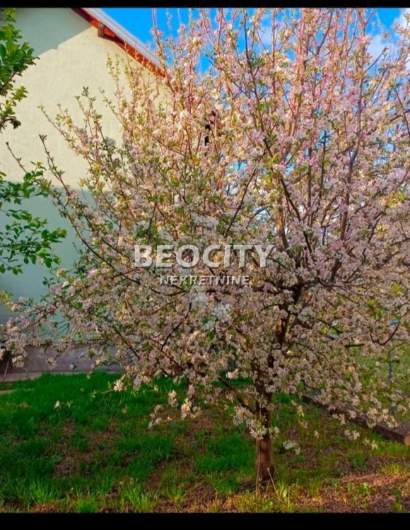 Petosobna kuća, 130 m2, Palilula, 210 nova ID: 117542 15