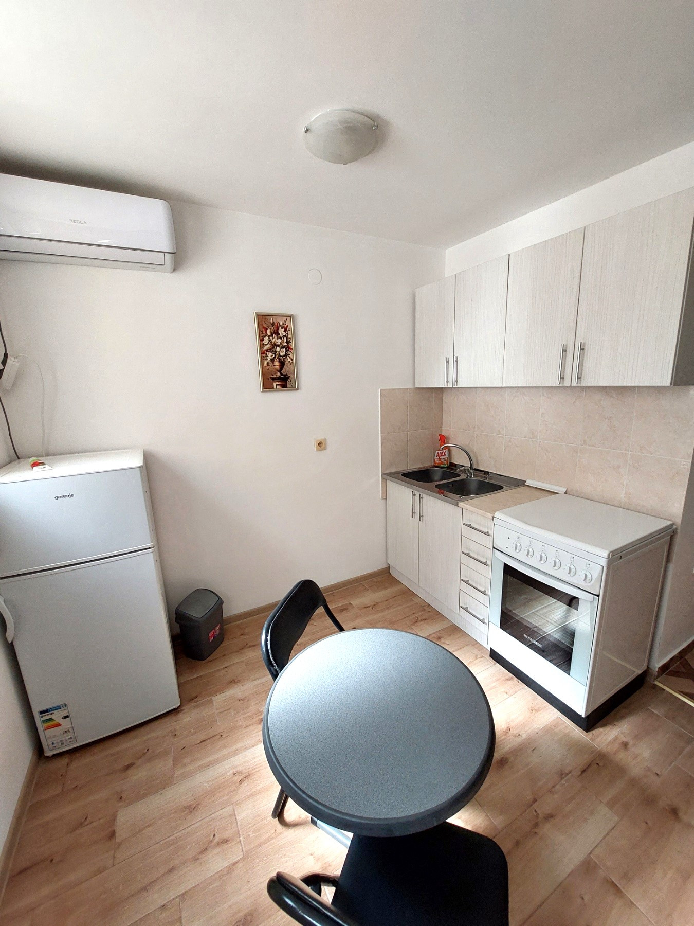 Stan,NOVI SAD,CARA DUŠANA,kv: 24, € 260, ID: 9101814 4