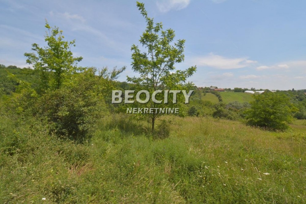 Plac, Sopot, Prvog maja ID: 116976 5