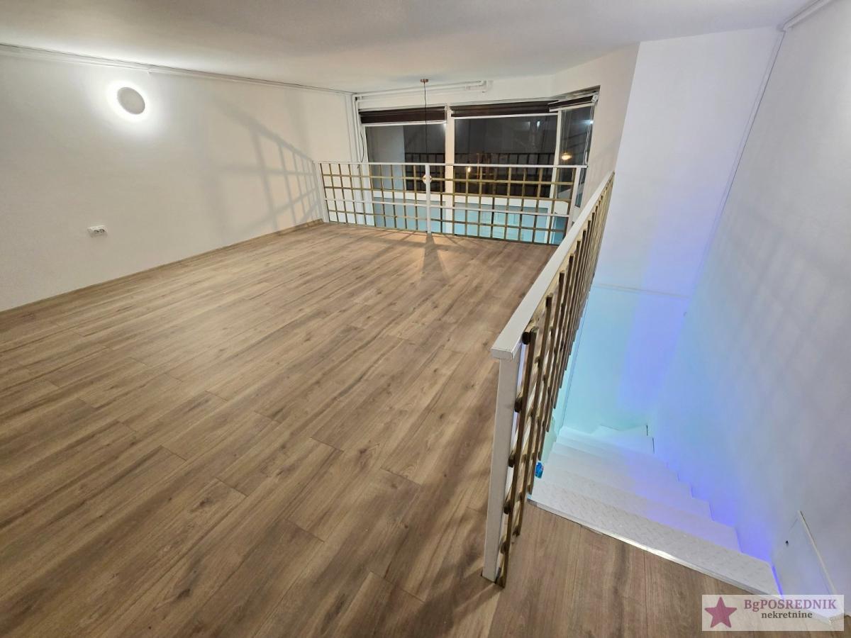 Zvezdara, Denkova bašta, Križanićeva, 26m2 (45m2) 6