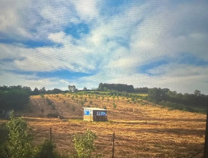 Prodajem zemljiste od 178ari Jasenak Obrenovac 1