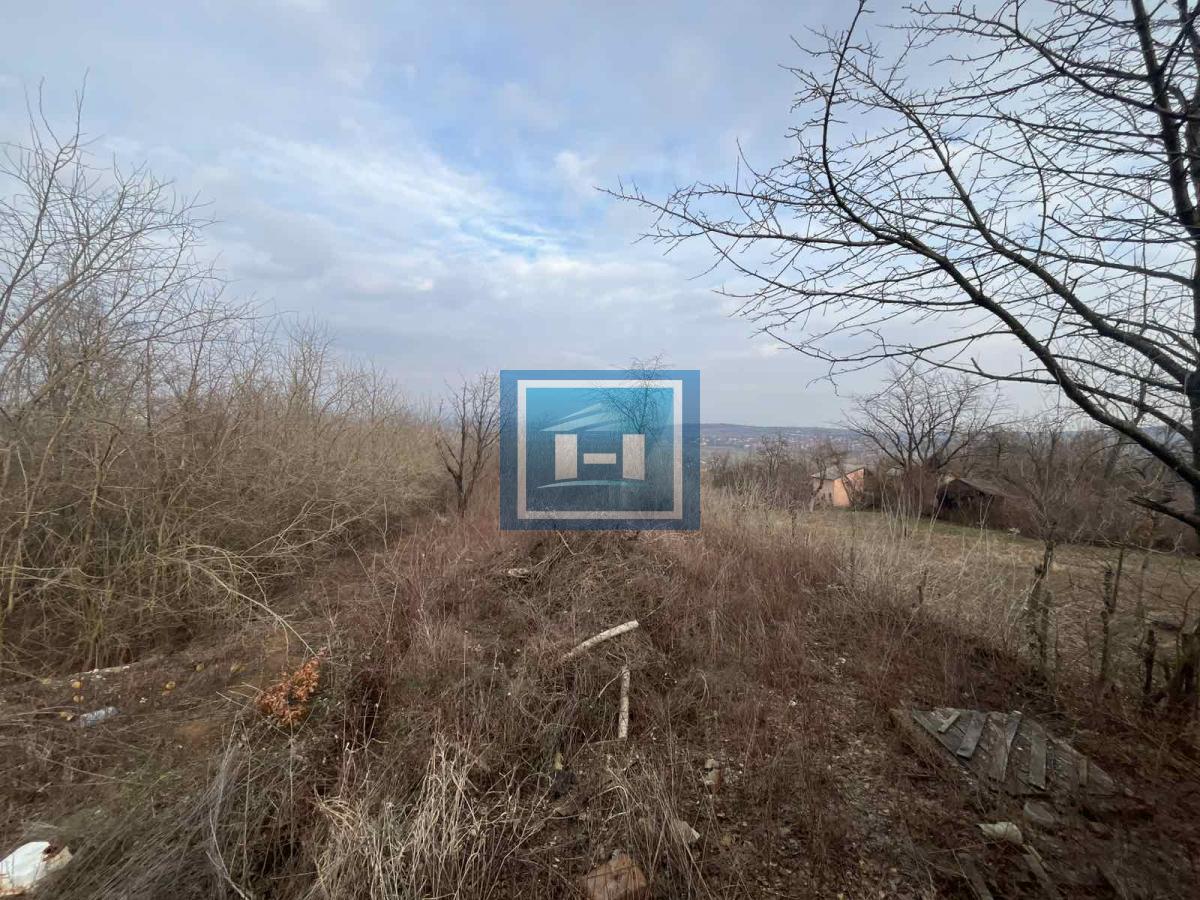 Oaza Mira - Prelepa Vikendica Nadomak Jagodine 7