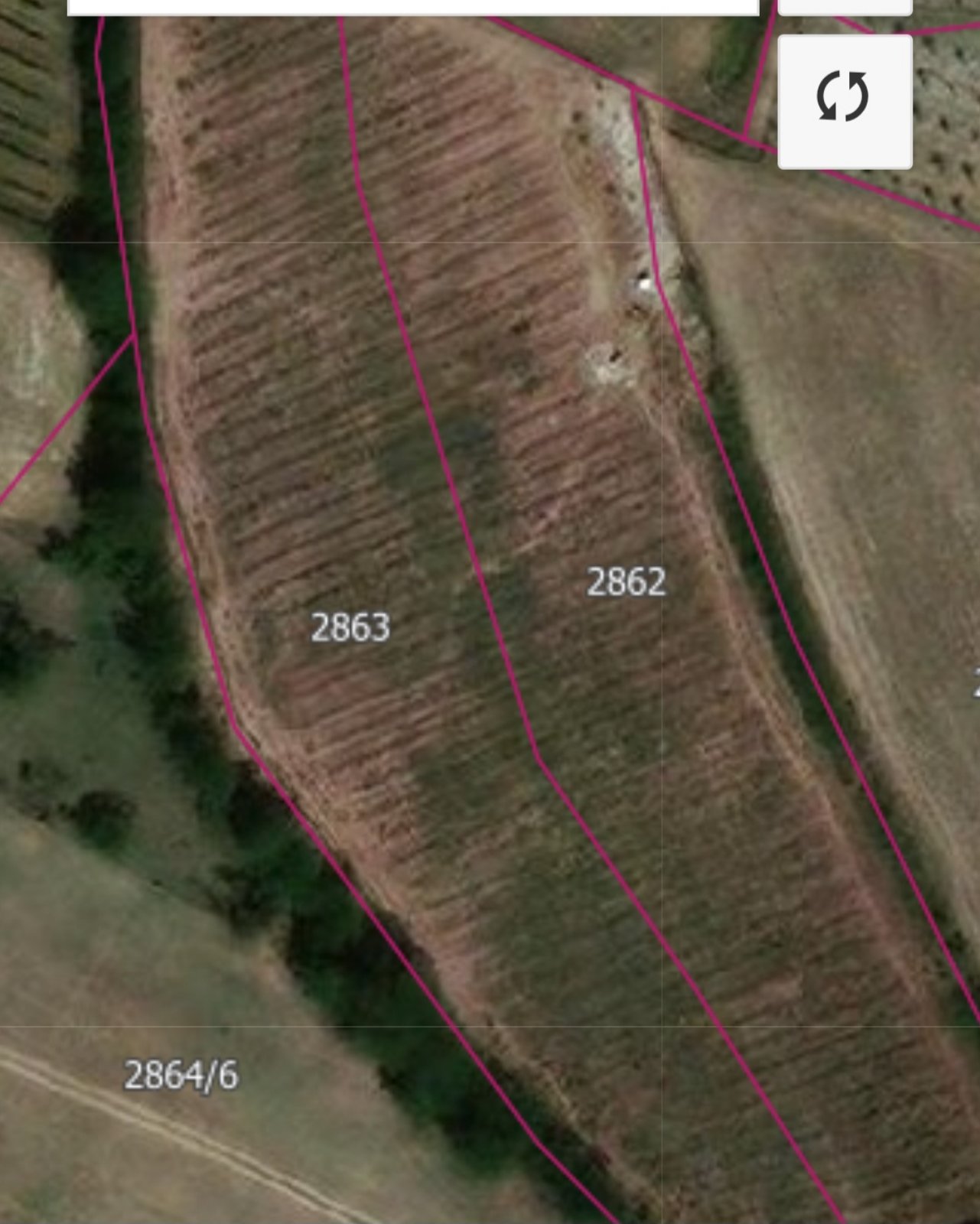 Prodajem plac 83ari Banja Arandjelovac 5