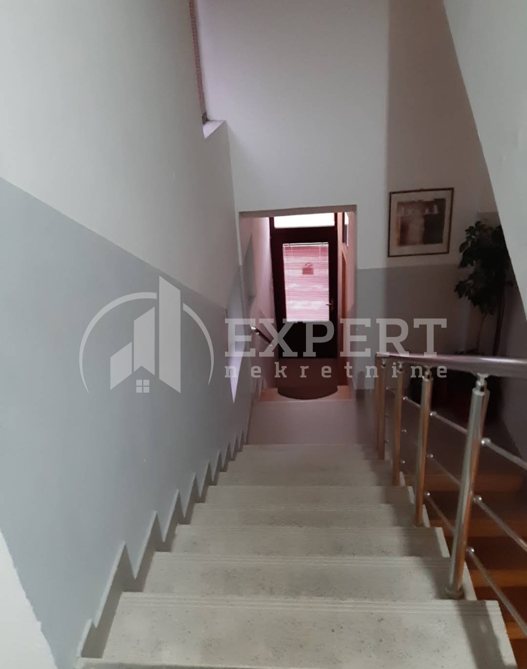 Lokal, 349 m2, Knjaza Miloša ID: p-013755 10