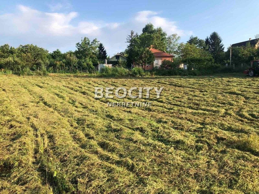 Plac, Ledinci ID: 117585 1