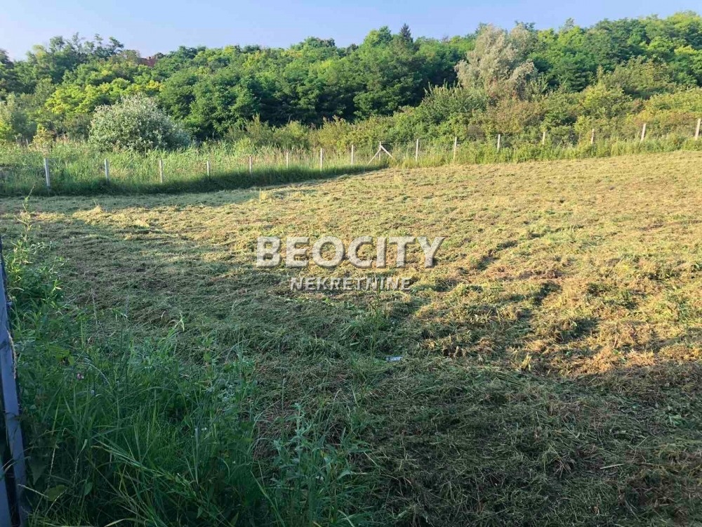 Plac, Ledinci ID: 117585 2