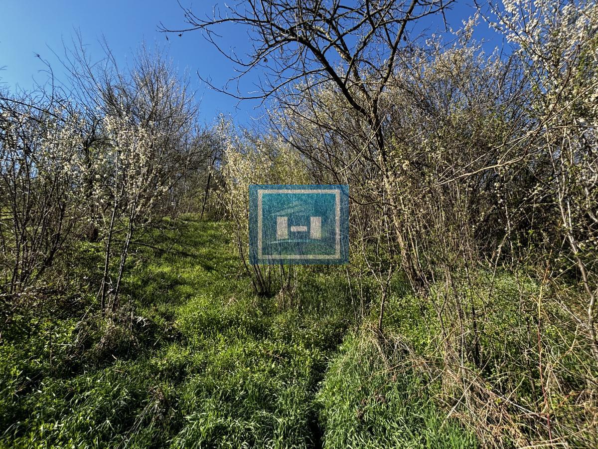 Povoljna kuća u selu Miloševo 13