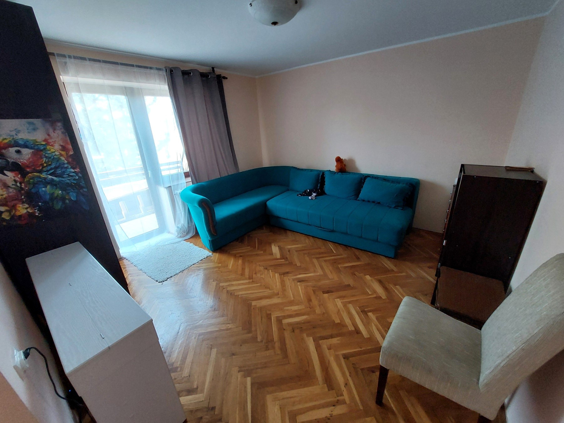 Kuca,NOVI SAD,TELEP,kv: 371, € 465300, ID: 3002135 9