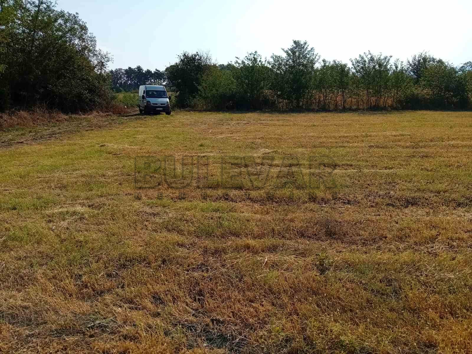 Plac, Šumarice, Lovačka ID: p-013818 2