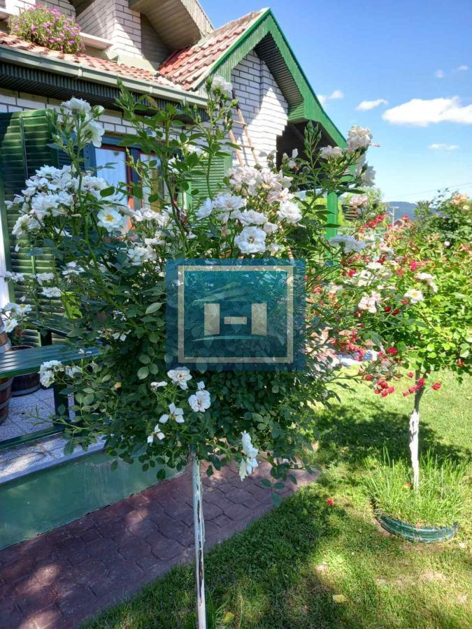 Prelepa kuća u Vrnjačkoj banji povoljna ponuda 4