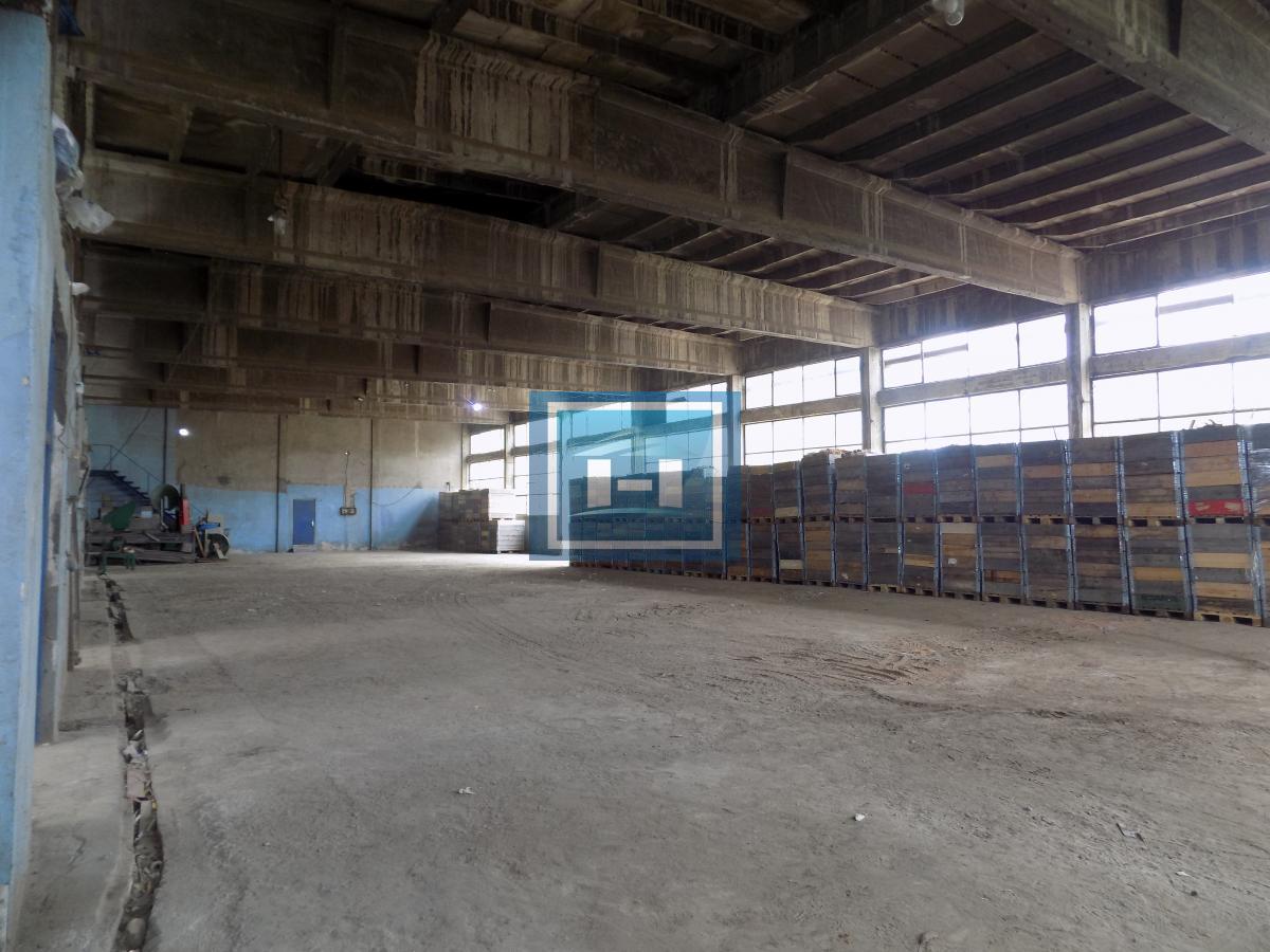 Hala za renoviranje sa kancelarijskim delom 29