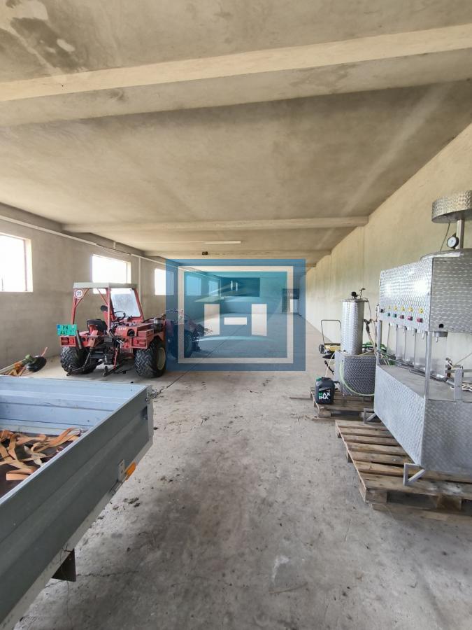 POSLOVNA HALA SA ZEMLJIŠTEM ZA IZDAVANJE – 570 m² + 26 ari 13