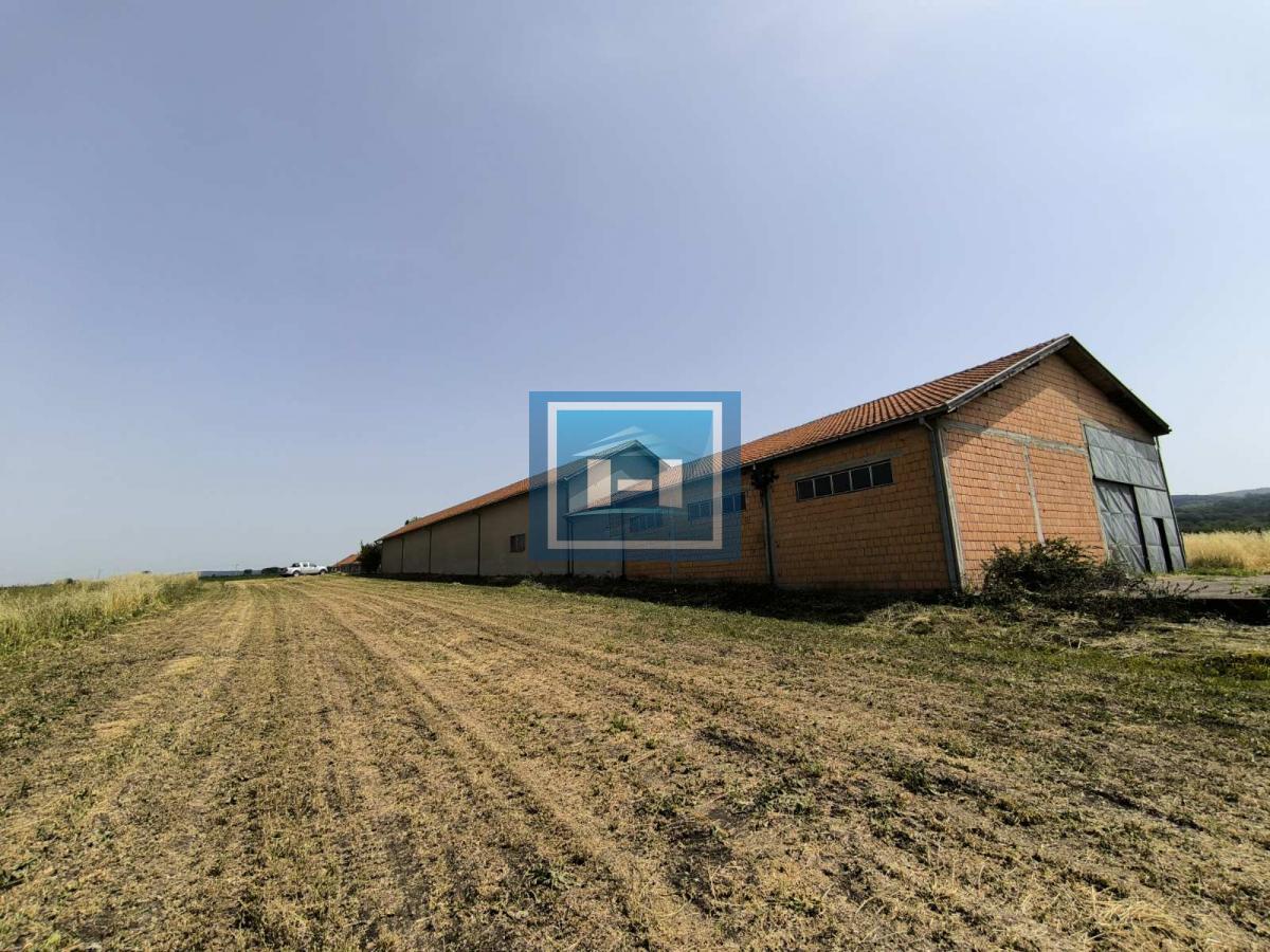 POSLOVNA HALA SA ZEMLJIŠTEM ZA IZDAVANJE – 570 m² + 26 ari 8