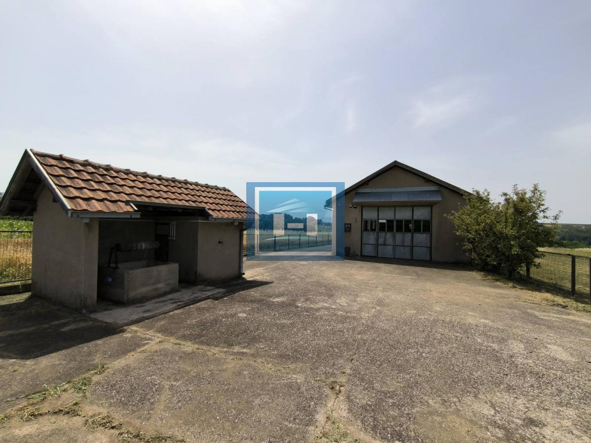 POSLOVNA HALA SA ZEMLJIŠTEM ZA IZDAVANJE – 570 m² + 26 ari 9