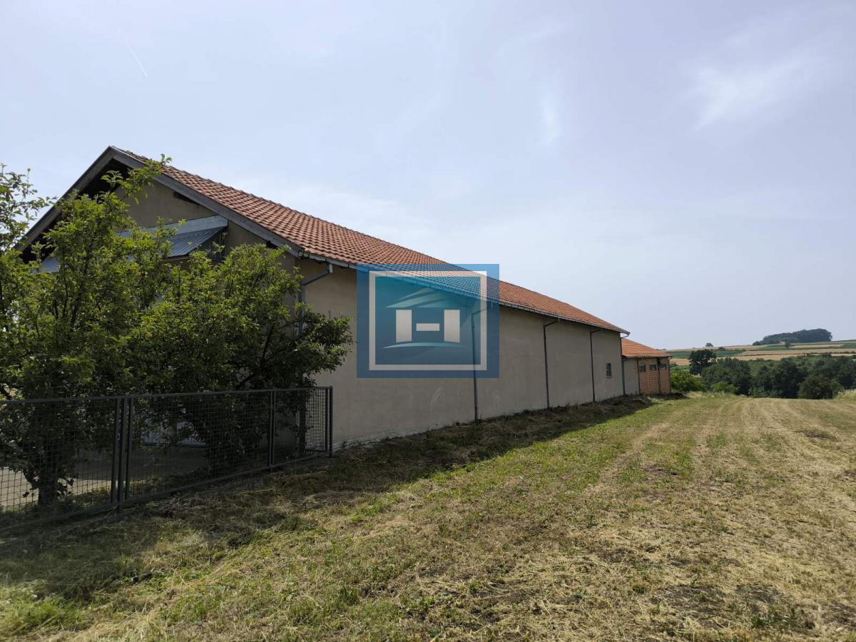 POSLOVNA HALA SA ZEMLJIŠTEM ZA IZDAVANJE – 570 m² + 26 ari 3