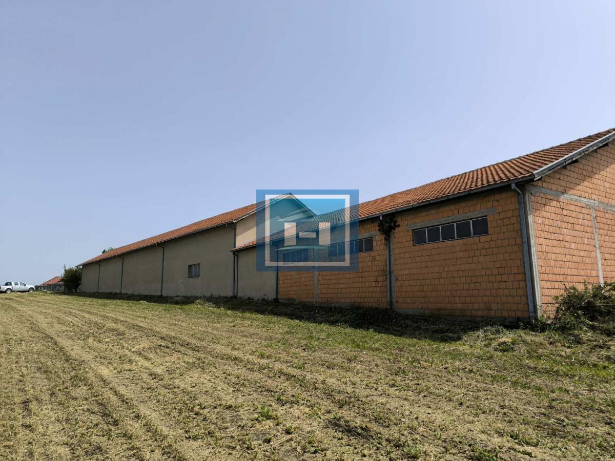 POSLOVNA HALA SA ZEMLJIŠTEM ZA IZDAVANJE – 570 m² + 26 ari 5
