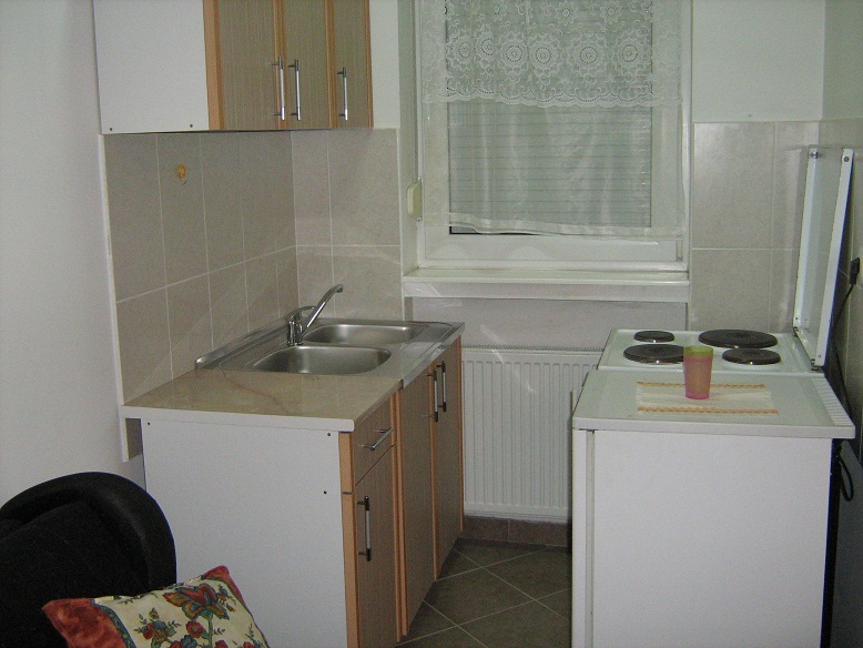 IZDAJEM STAN BLIZU BULEVARA OSLOBODJENJA 2