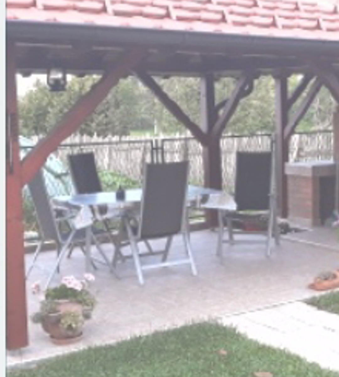 Porodična kuća Petkovica 2