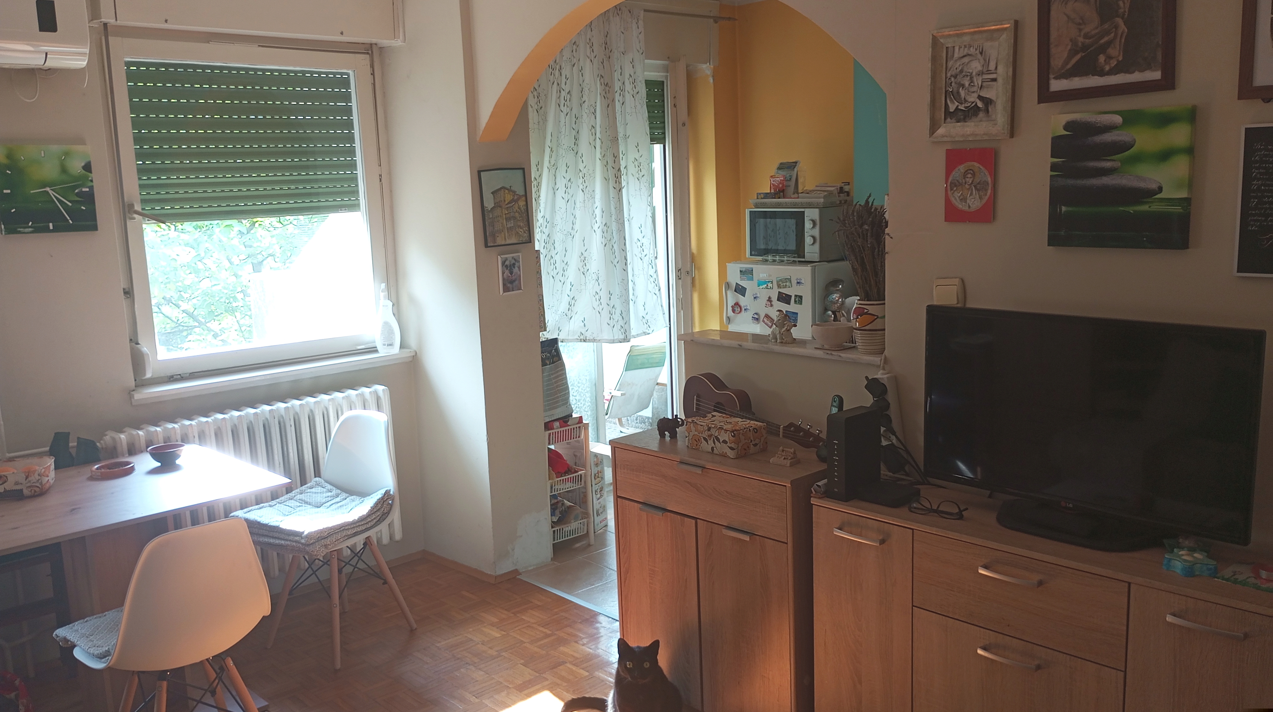 NOVI SAD  BISTRICA  37m2   jednoiposoban 2