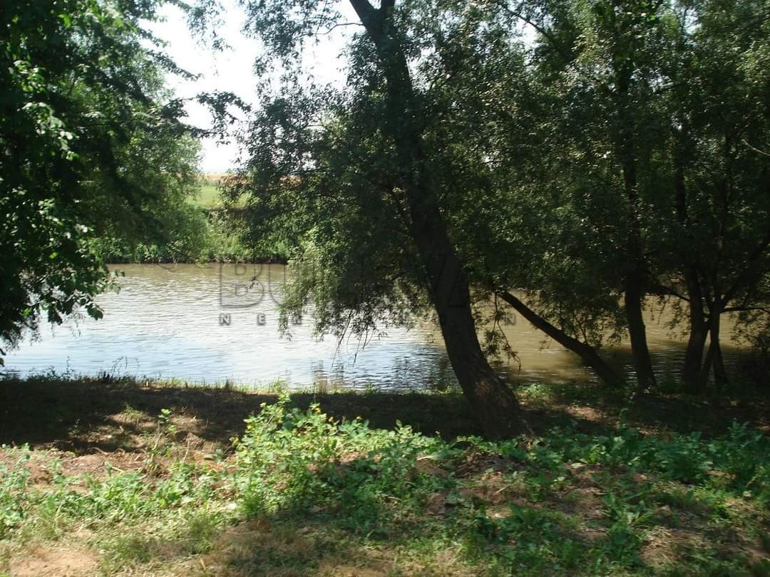 četvorosobna kuća, 144 m2, Trupale, Trupale ID: p-013881 14