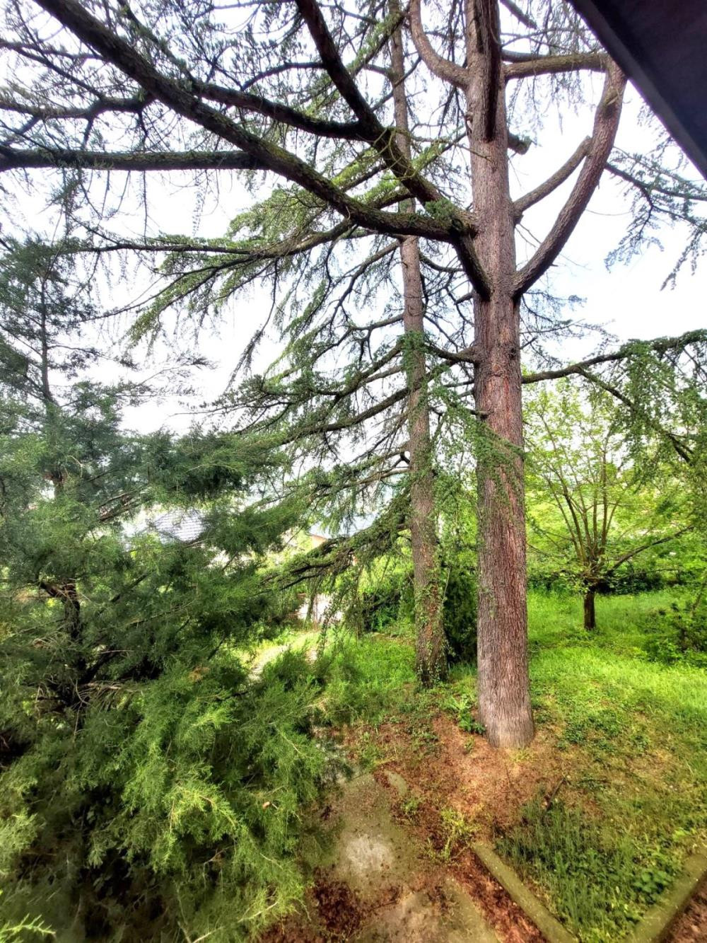 Kuca,SREMSKA KAMENICA,ČARDAK,kv: 1820, € 270000, ID: 3002137 7