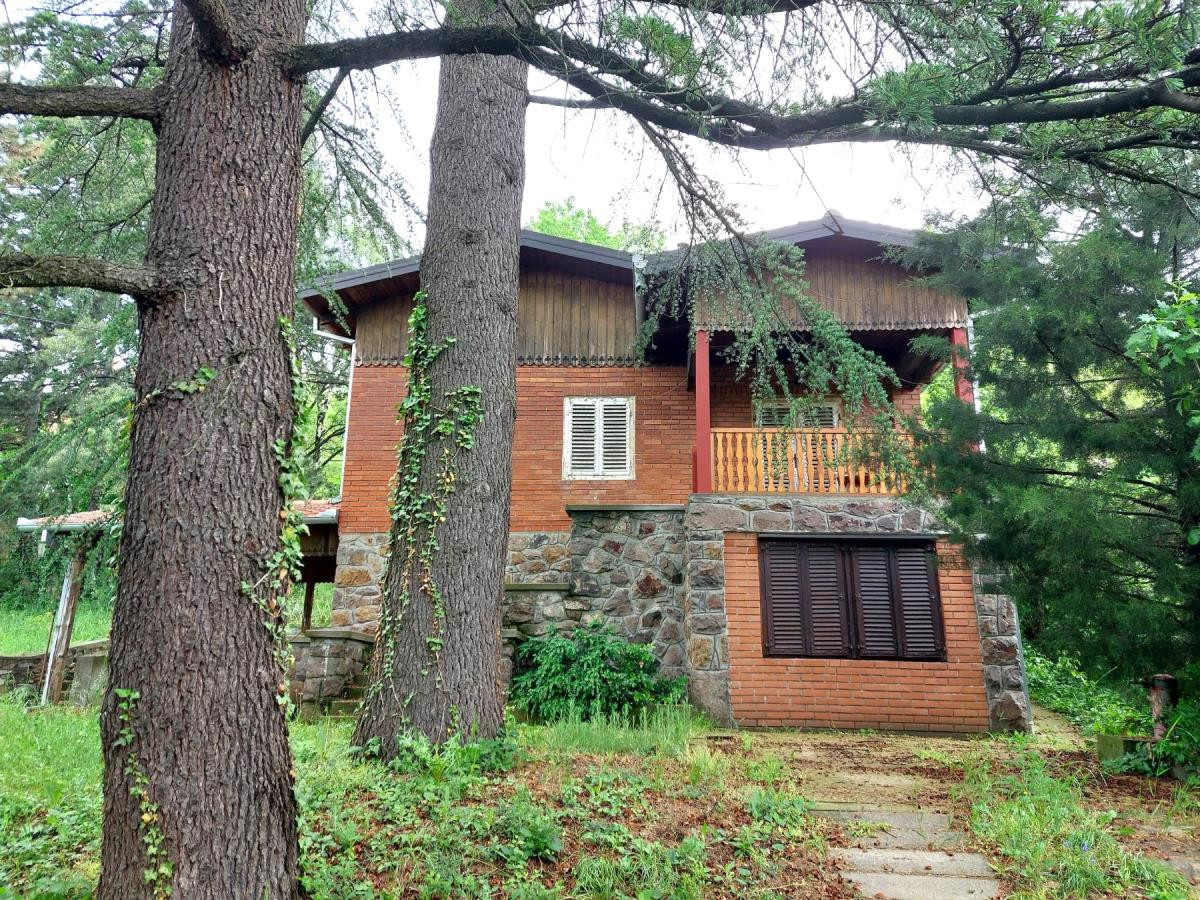 Kuca,SREMSKA KAMENICA,ČARDAK,kv: 1820, € 270000, ID: 3002137 1