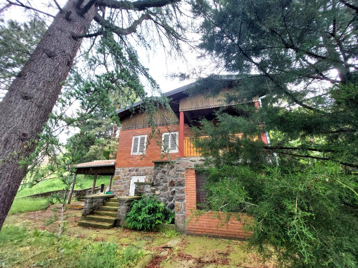 Kuca,SREMSKA KAMENICA,ČARDAK,kv: 1820, € 270000, ID: 3002137 2