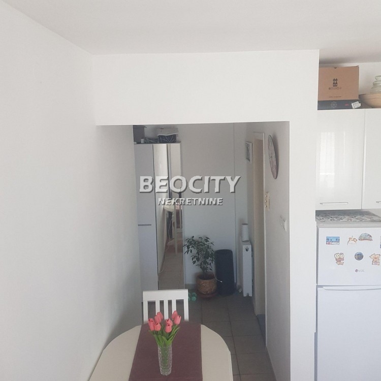 Jednosoban stan, 24 m2, Stara Detelinara, Solunska ID: 118166 4