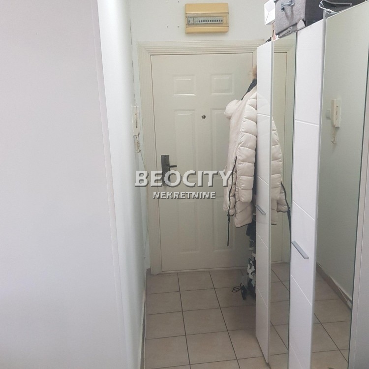 Jednosoban stan, 24 m2, Stara Detelinara, Solunska ID: 118166 6