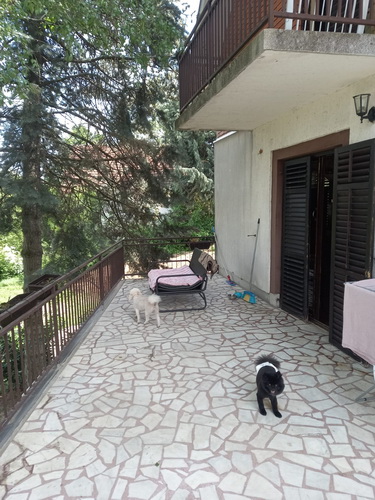 Avala  kragujevacki put  200 m2  uknjizena 130 000 e 4