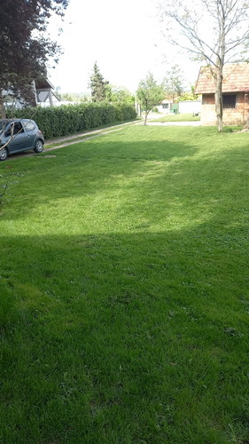 Avala  kragujevacki put  200 m2  uknjizena 130 000 e 3