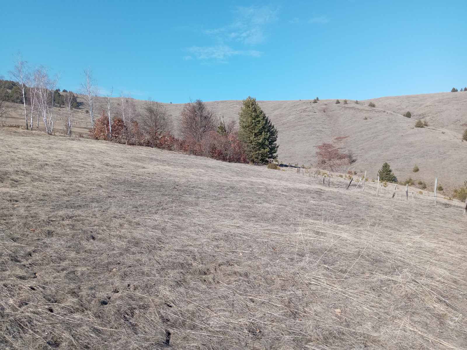 Prodajem placeve Divcibare Tometino Polje 2