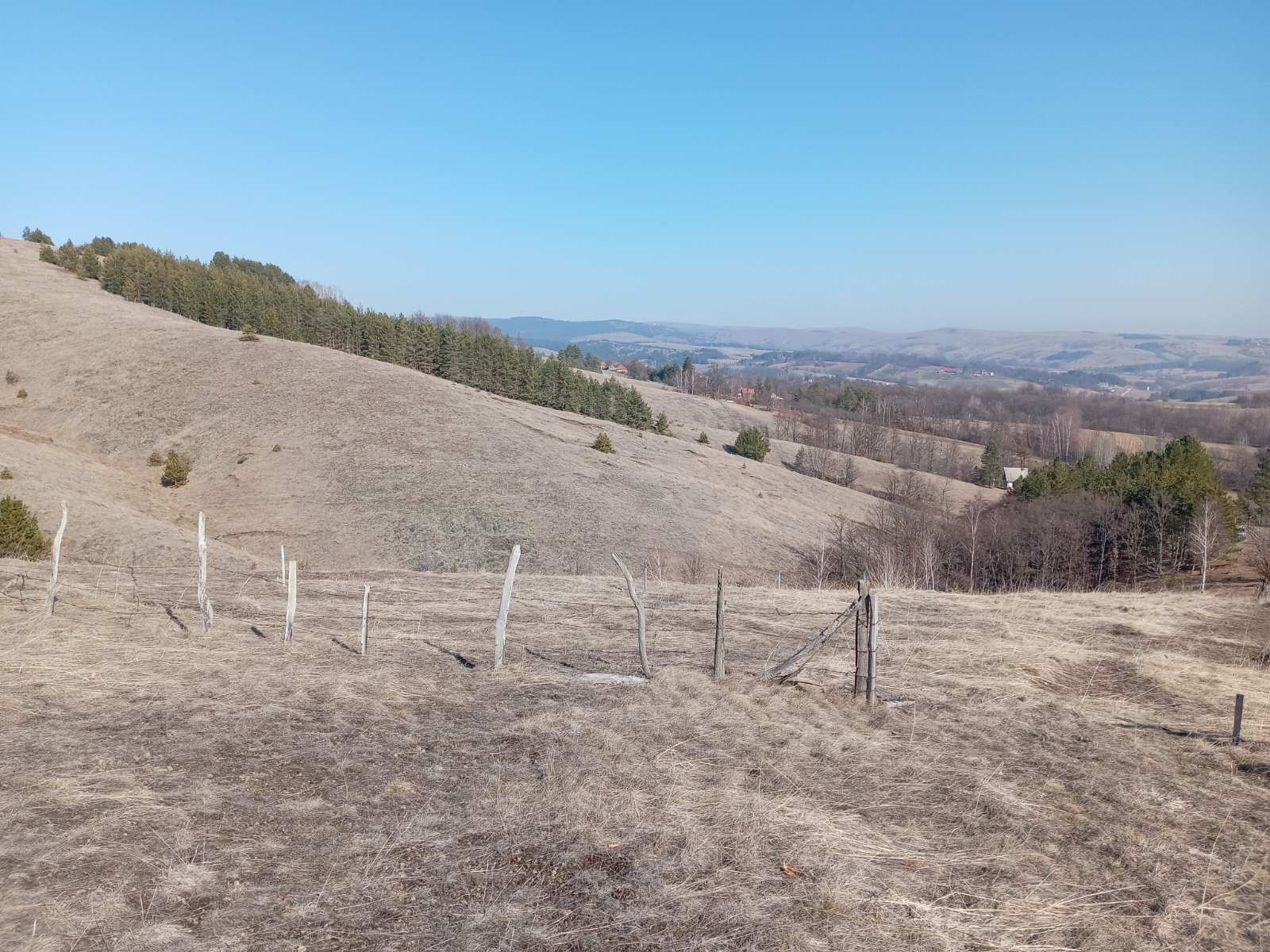 Prodajem placeve Divcibare Tometino Polje 3