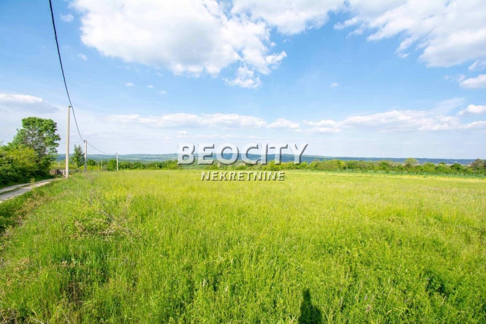 Plac, Amerić ID: 118150 1