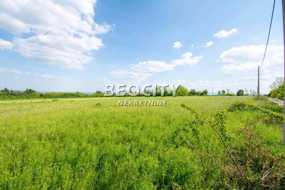 Plac, Amerić ID: 118150 2