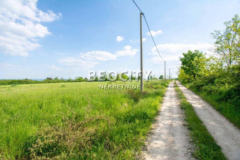 Plac, Amerić ID: 118150 7