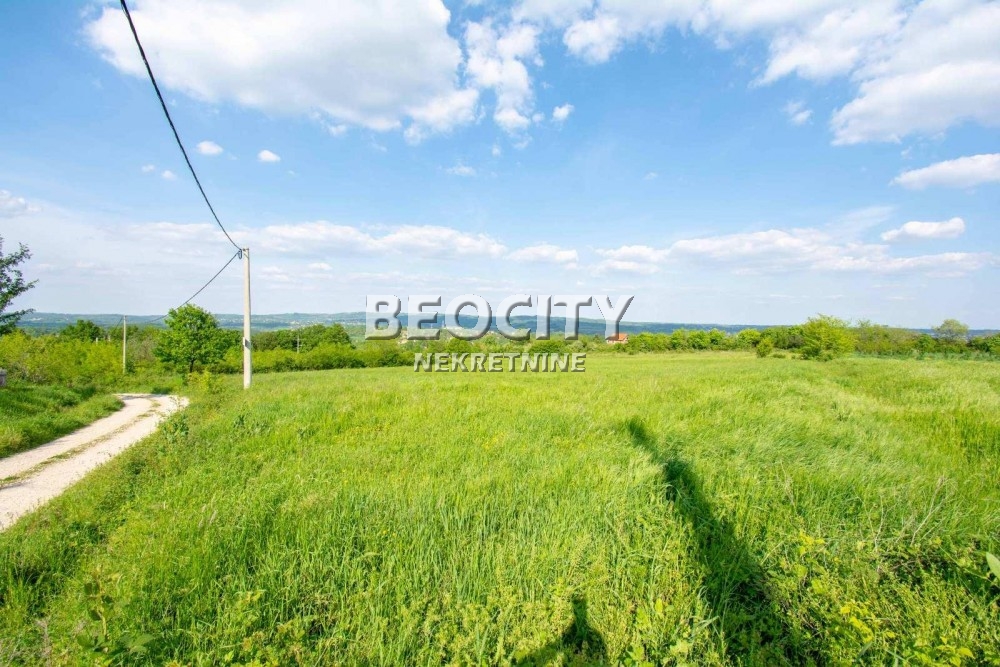 Plac, Amerić ID: 118150 8