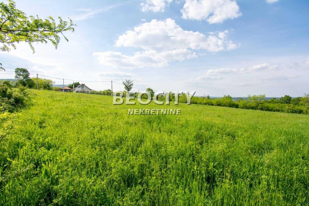 Plac, Amerić ID: 118150 4