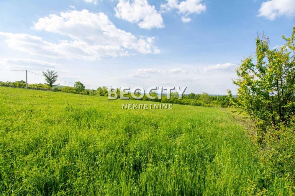 Plac, Amerić ID: 118150 5