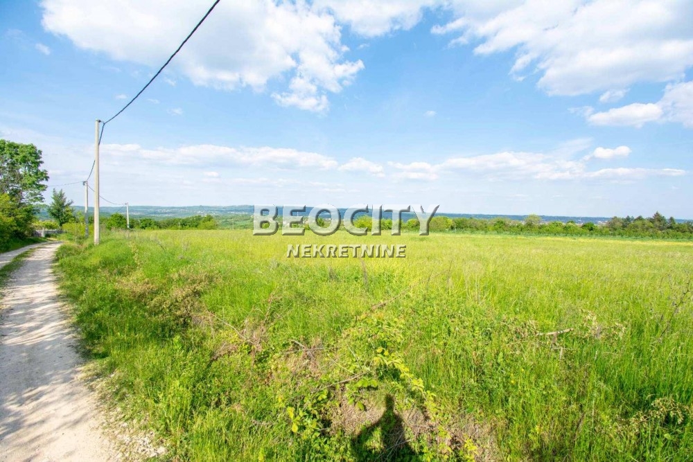 Plac, Amerić ID: 118150 6