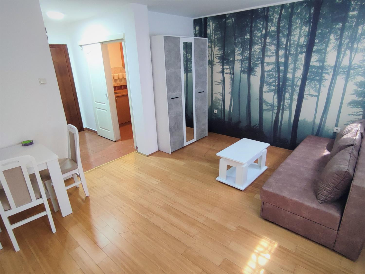 Stan,PETROVARADIN,CENTAR,kv: 26, € 200, ID: 9101641 3