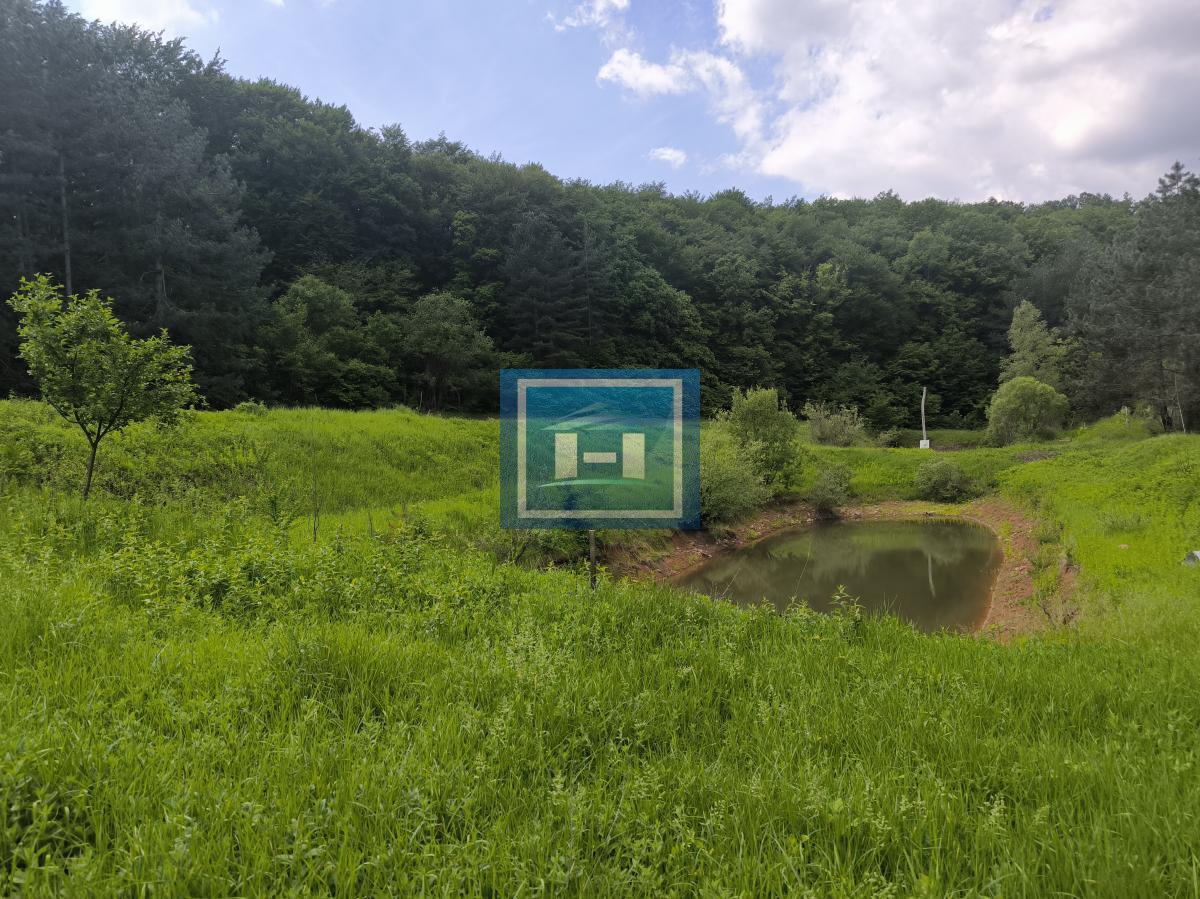 Kompletno opremljeno imanje 82 ara – dve kuće, bazen, ribnjaci, vinograd! 2