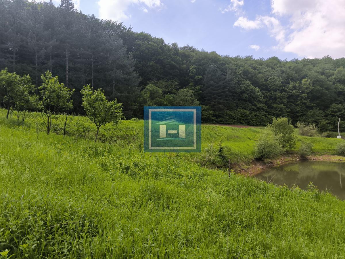 Kompletno opremljeno imanje 82 ara – dve kuće, bazen, ribnjaci, vinograd! 3